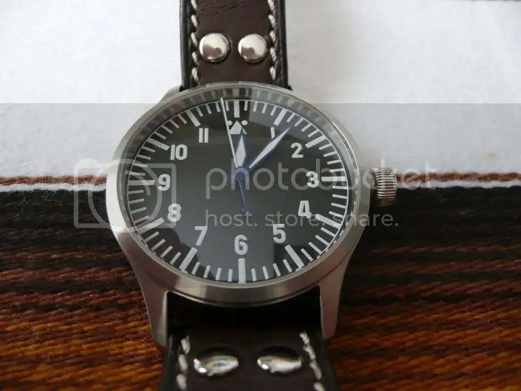 Steinhart5.webp