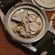 stolichinie.webp