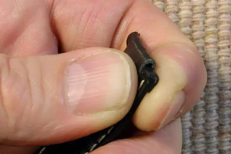 Strap-notching07-Thomas.webp