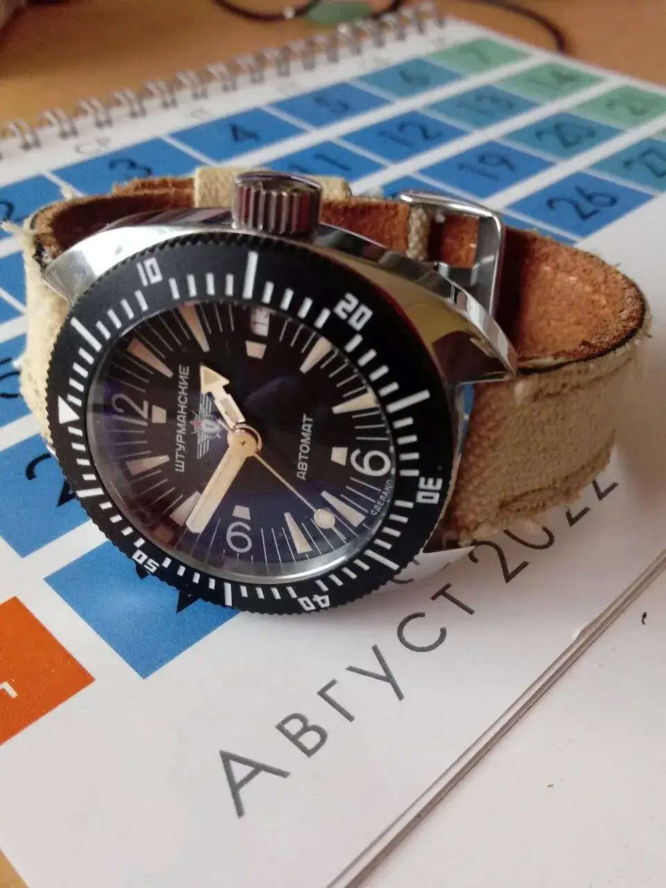 studelfin.webp