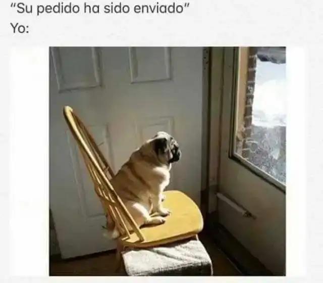 su-pedido-ha-sido-enviado-yo-inA2i.webp