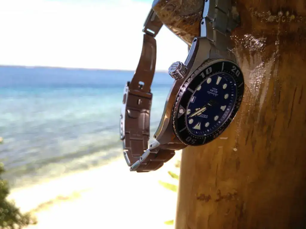 Sumo Descanso 2.webp