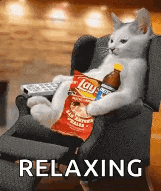 sunday-time-relax-cat-txa4ff2flaihsic3.gif