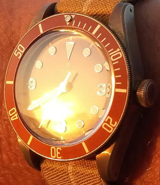 Sunrise brown 3.webp