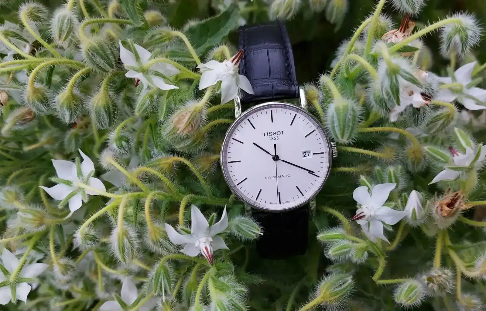 SWI20240423_102411 (1).webp