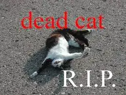 T8lwnEmBjjDwJIhu0fBvtr-IHH1A2KeiriPuGTLvJgC6ojnFDl.webp