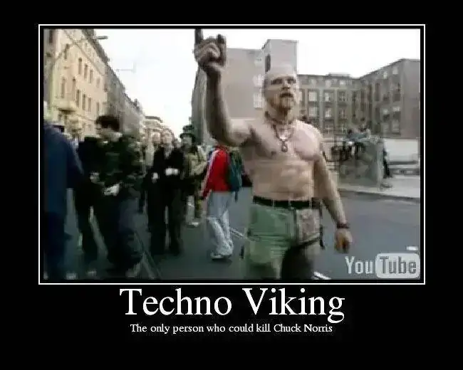 TechnoViking.webp