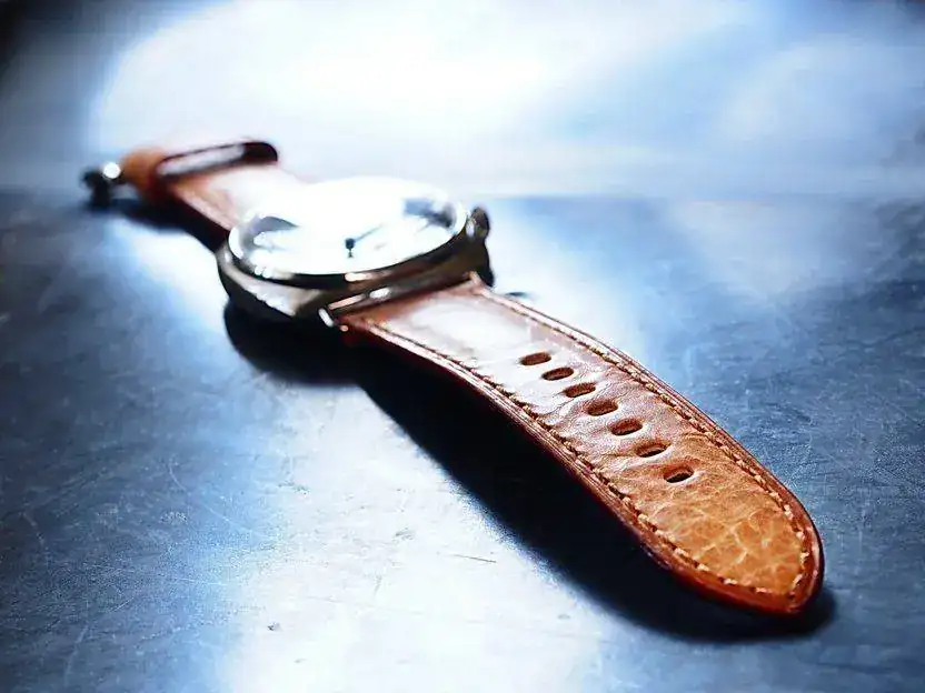 Ted%20Su%20Straps-%20Sahara-05.webp
