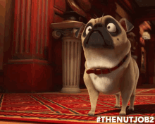 tenor (11).gif