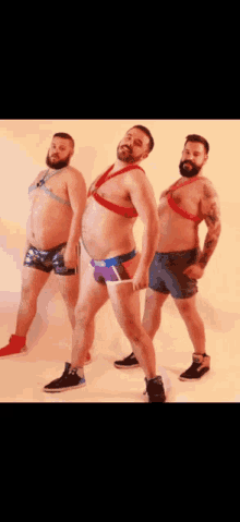 tenor (6).gif