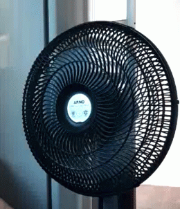 tenor.gif