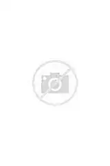 th?id=H.4828832978240750&pid=15.webp