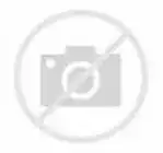 th?id=H.4933552657139200&pid=1.webp