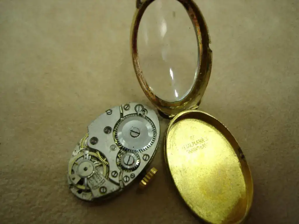 Thais desmontado.webp