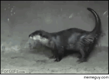 the-bathroom-and-someone-keeps-talking-to-me-33301.gif