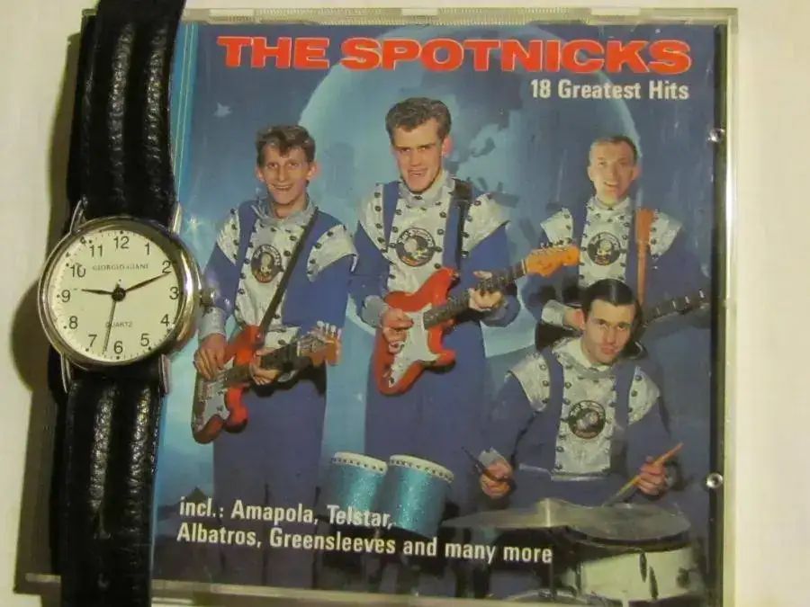 THE SPOTNICKS.webp