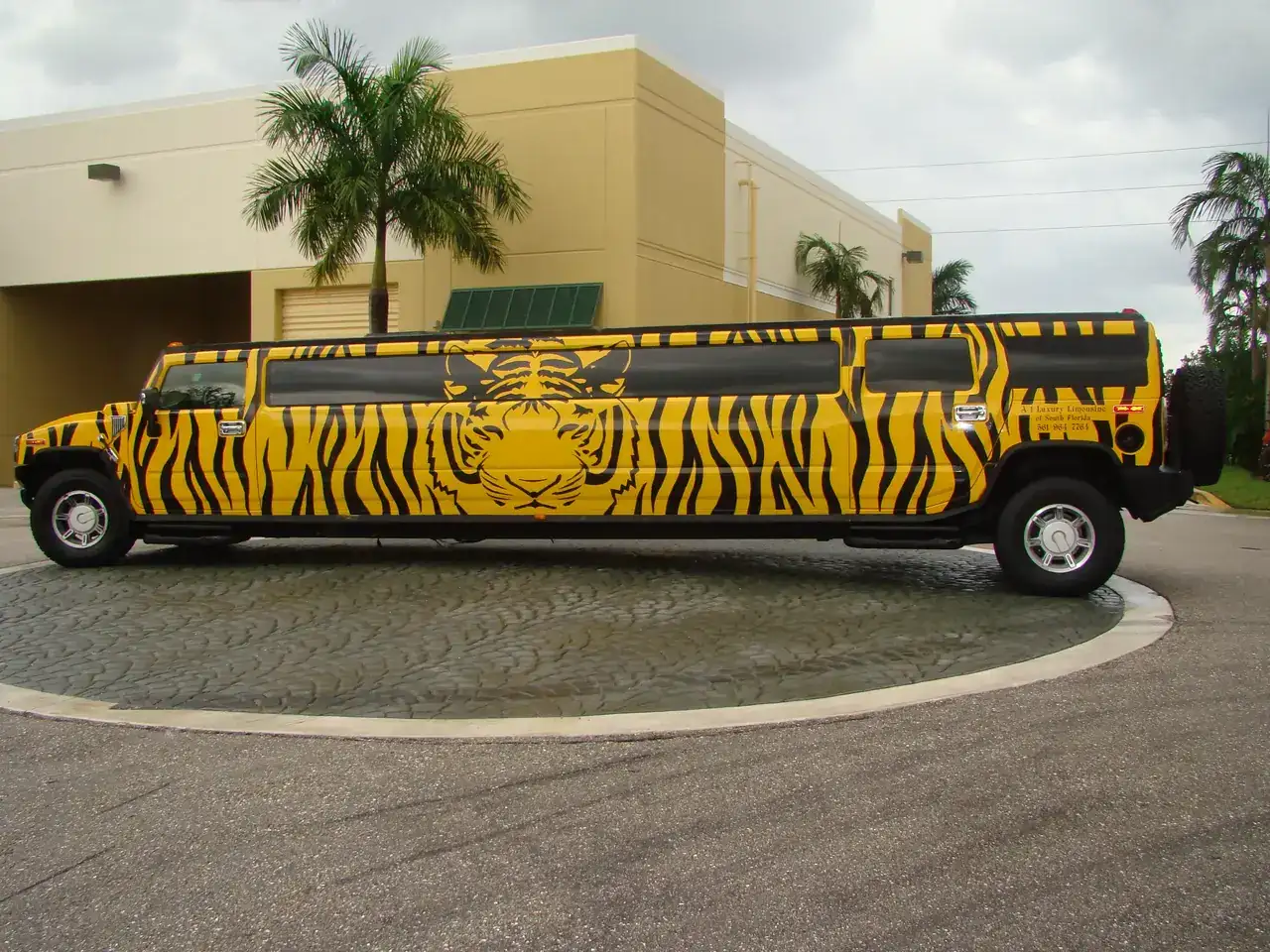 tiger-hummer-limo.webp