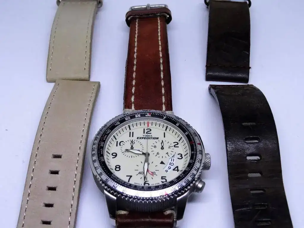 Timex 5.webp
