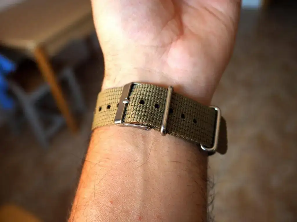 timex4.webp