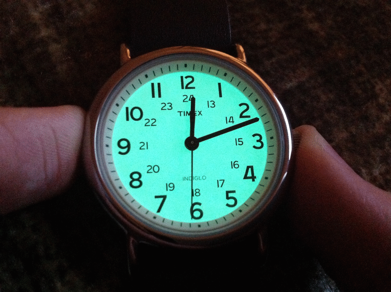 Timex_Weekender_Indiglo.gif