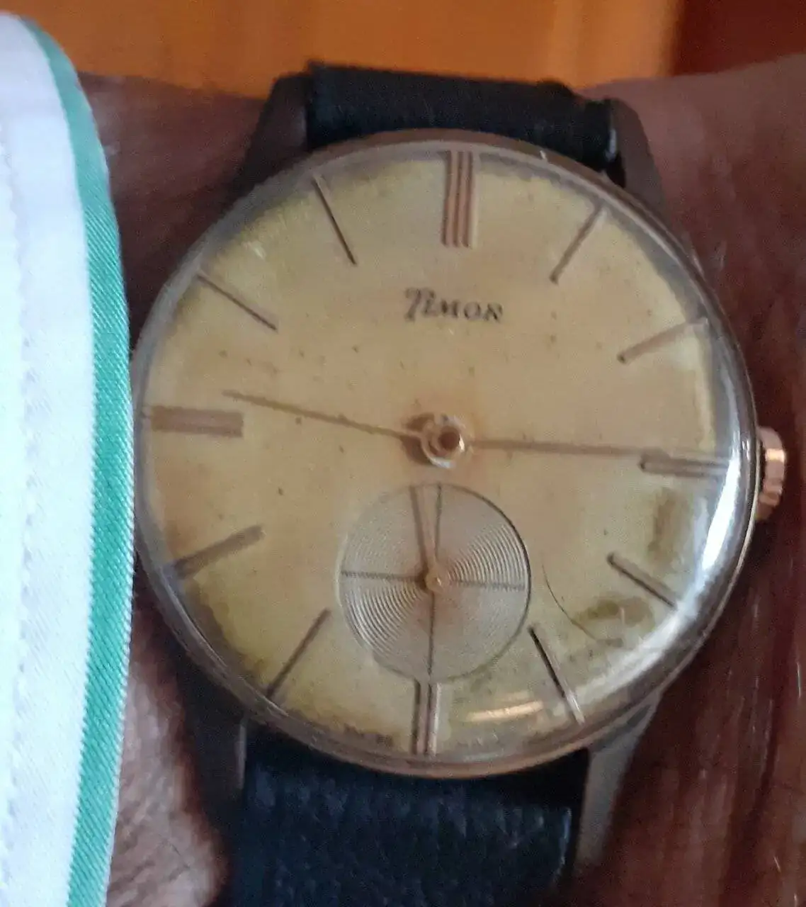 timor.webp