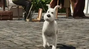 tintinmilu.webp