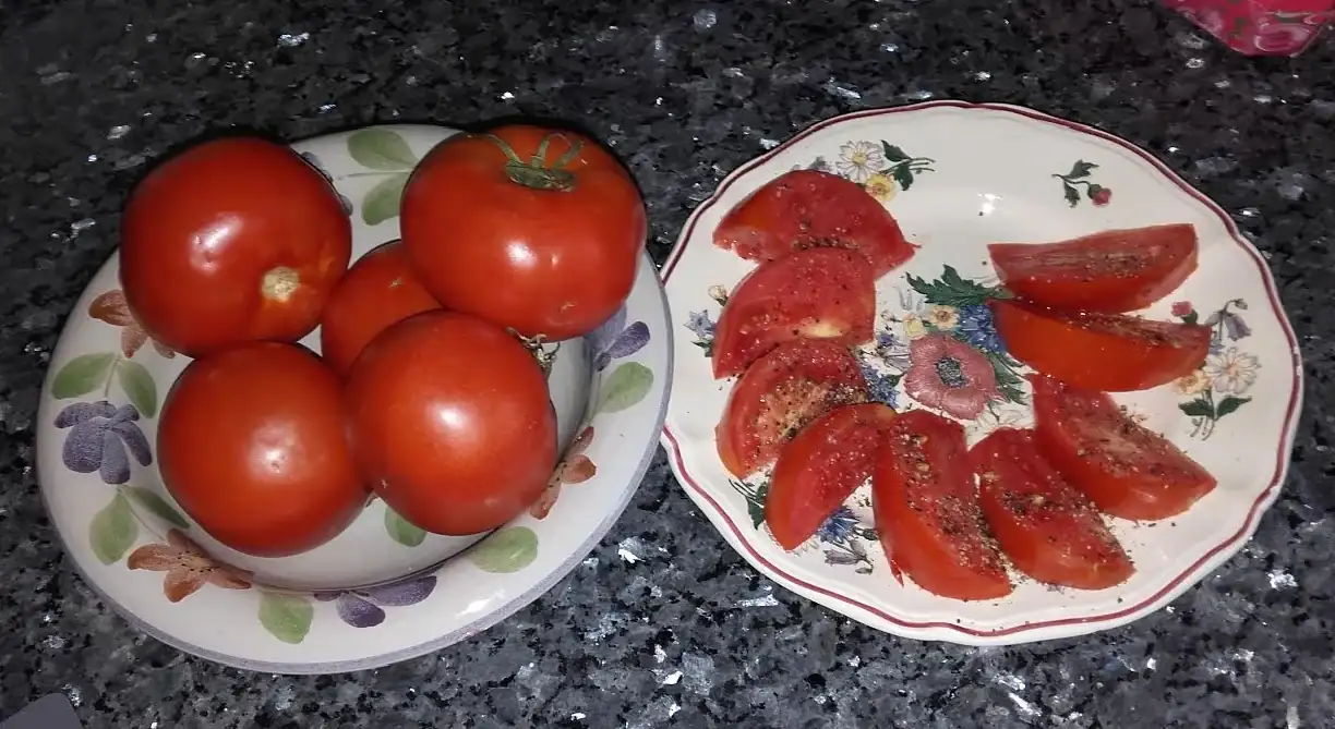 Toamtes.webp