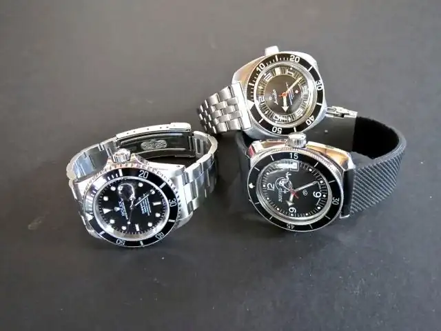 tok-purchase-guidence-needed-amphibias-rolex-small.webp