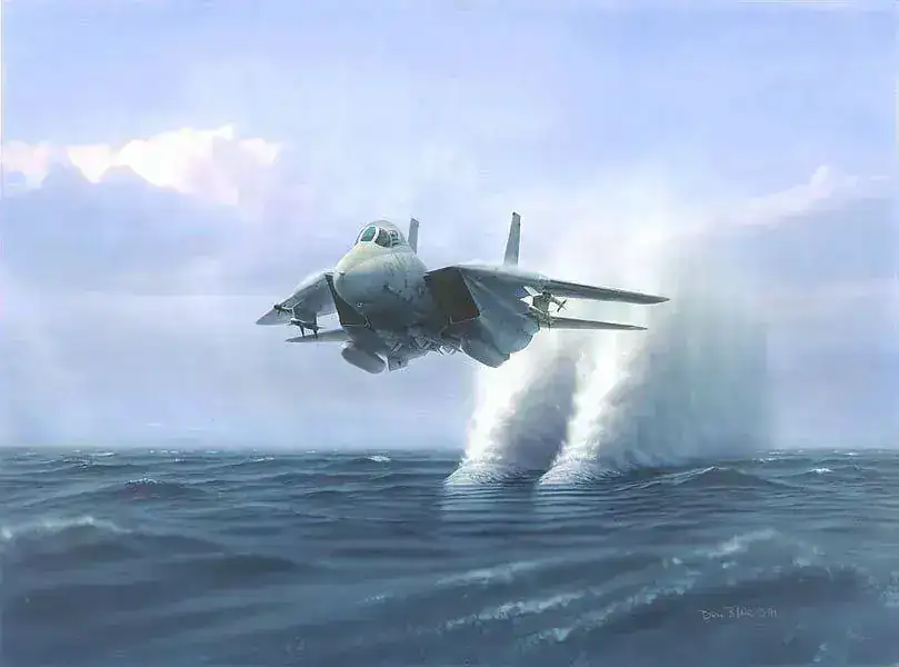 tomcat1gr.webp