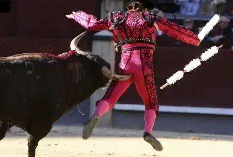 torero-corneado.webp