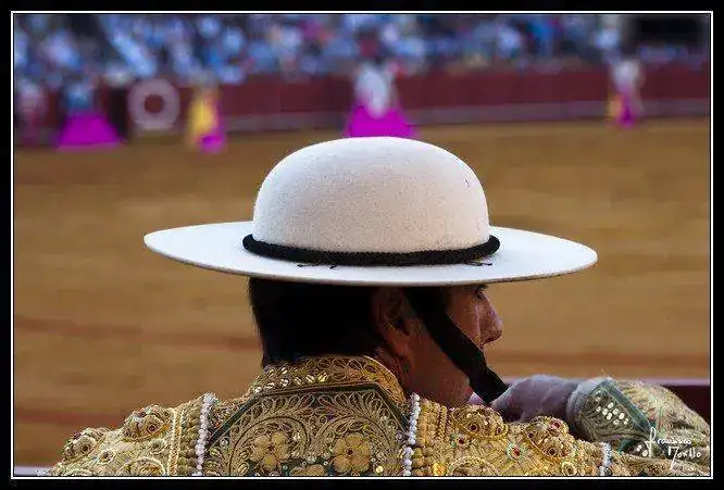 TOROS 12 DE OCTUBRE_2011_0082_13-10-2011.webp