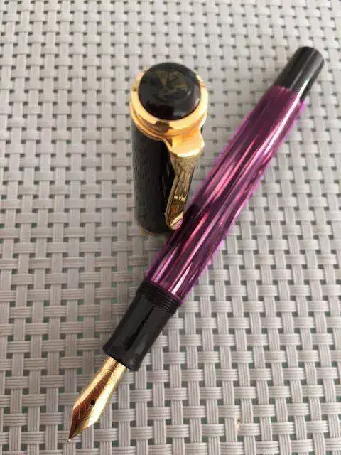 tortoise rosita.webp