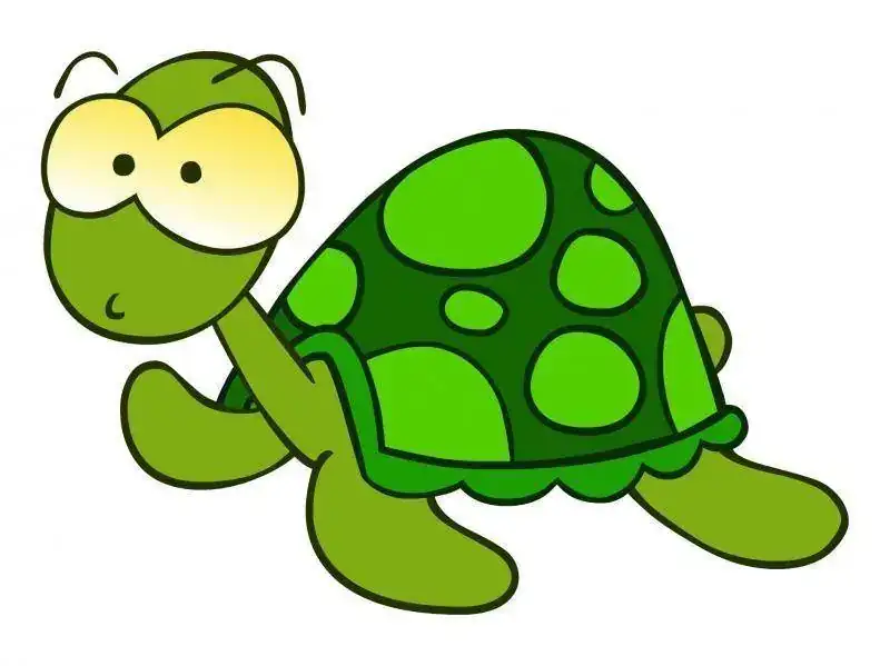 tortuga.5181302_std.webp