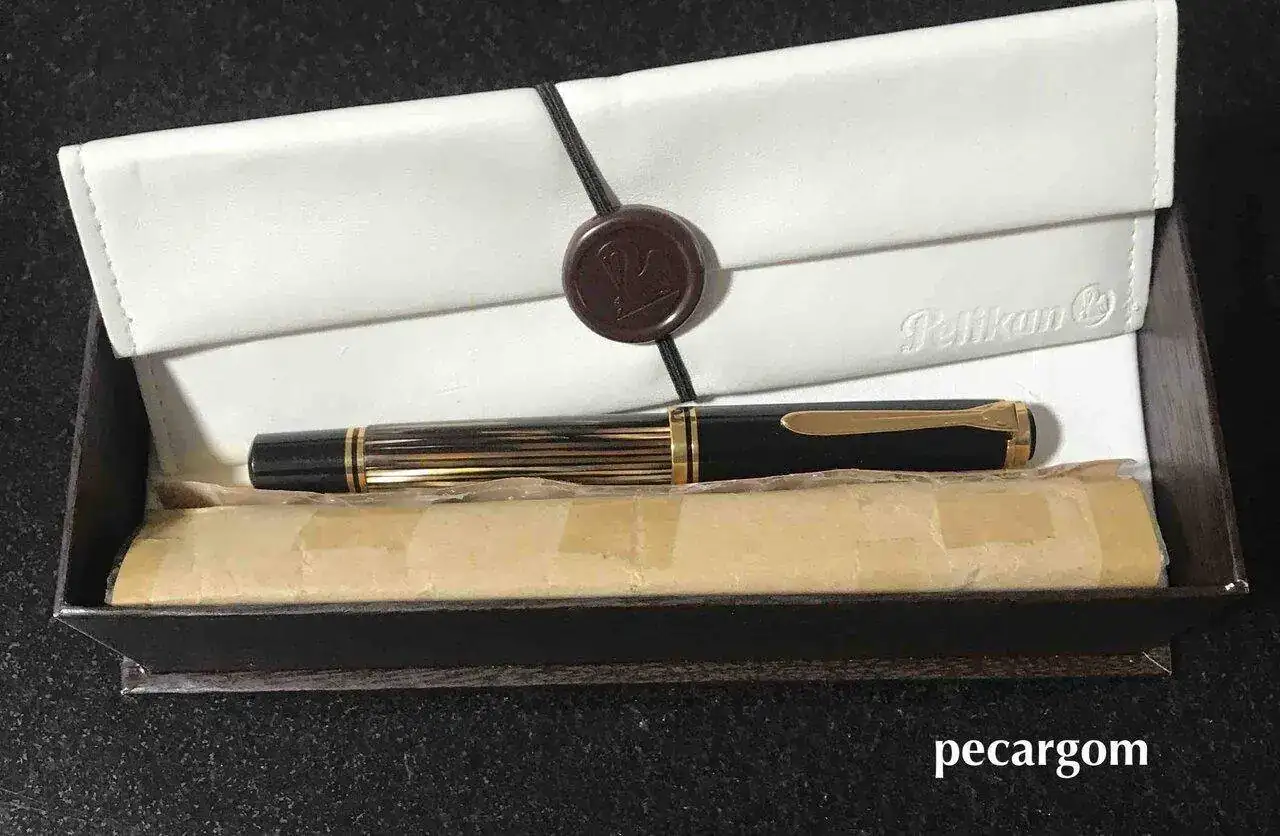 Tortuga caja M800 copia.webp