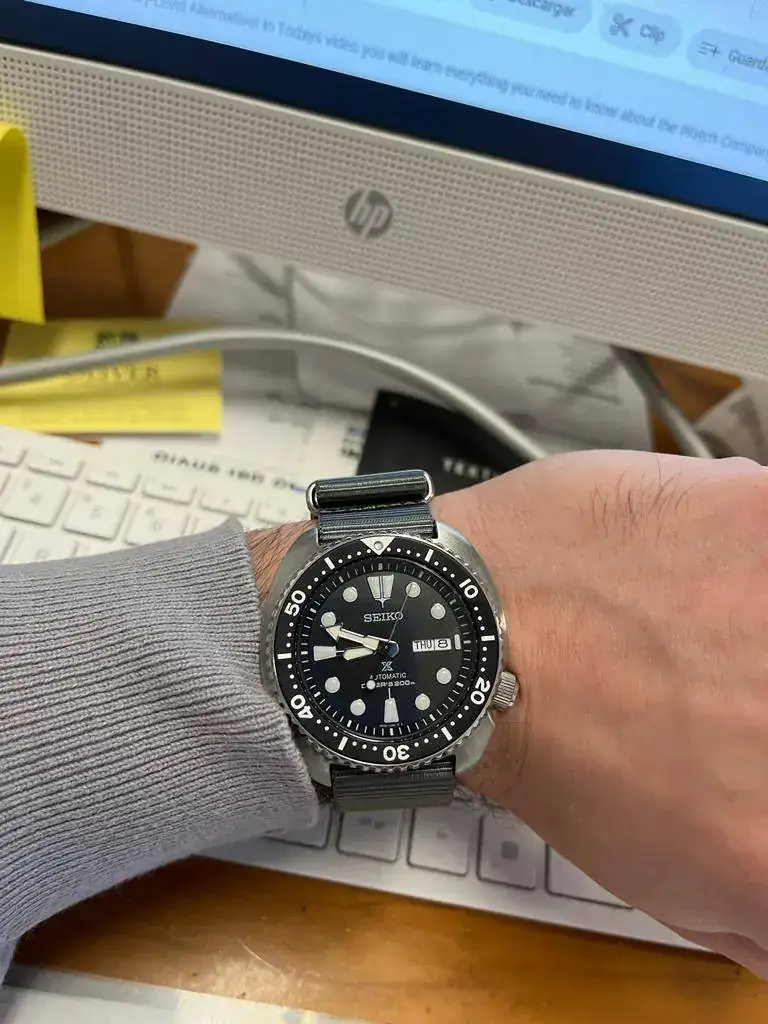 TORTUGA GREY.webp
