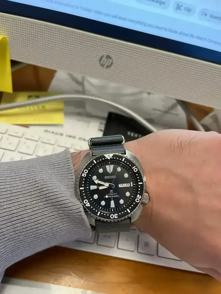 TORTUGA GREY.webp