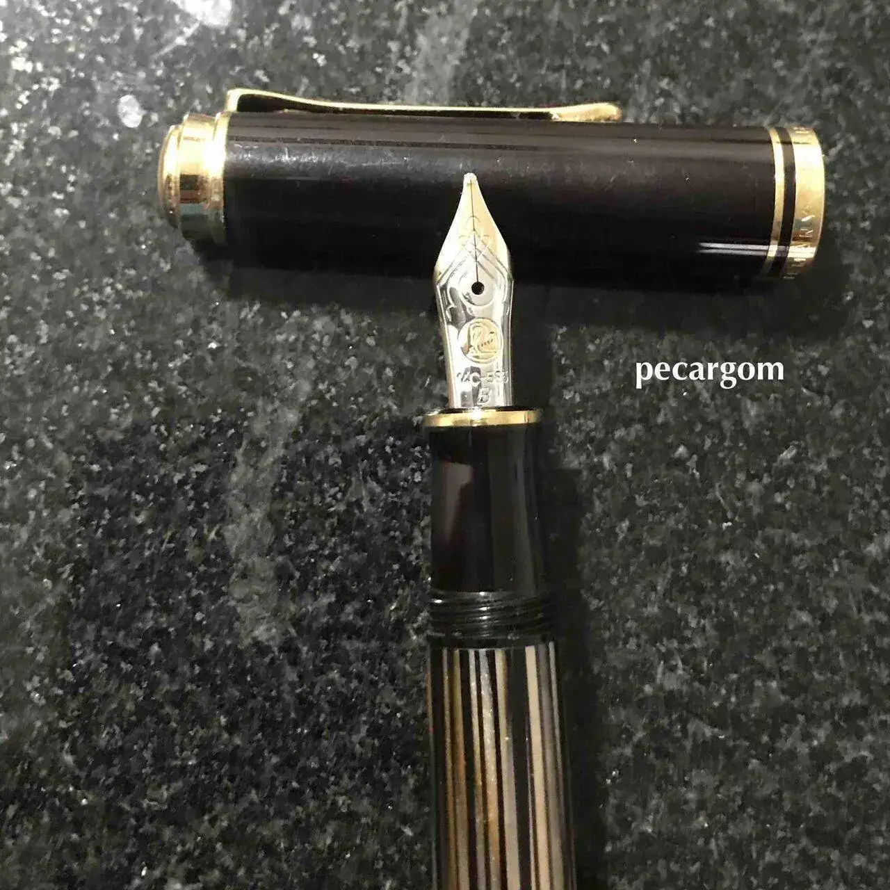 Tortuga M400 SE 2 copia.webp