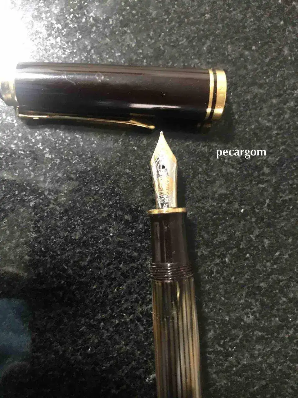 Tortuga M800 copia.webp