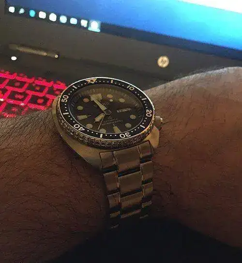 tortuga.webp