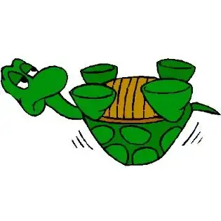 tortuga.webp