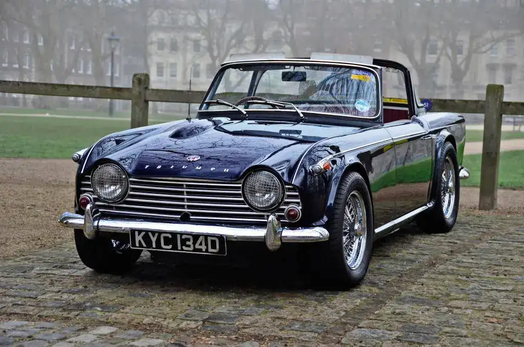 tr4.webp