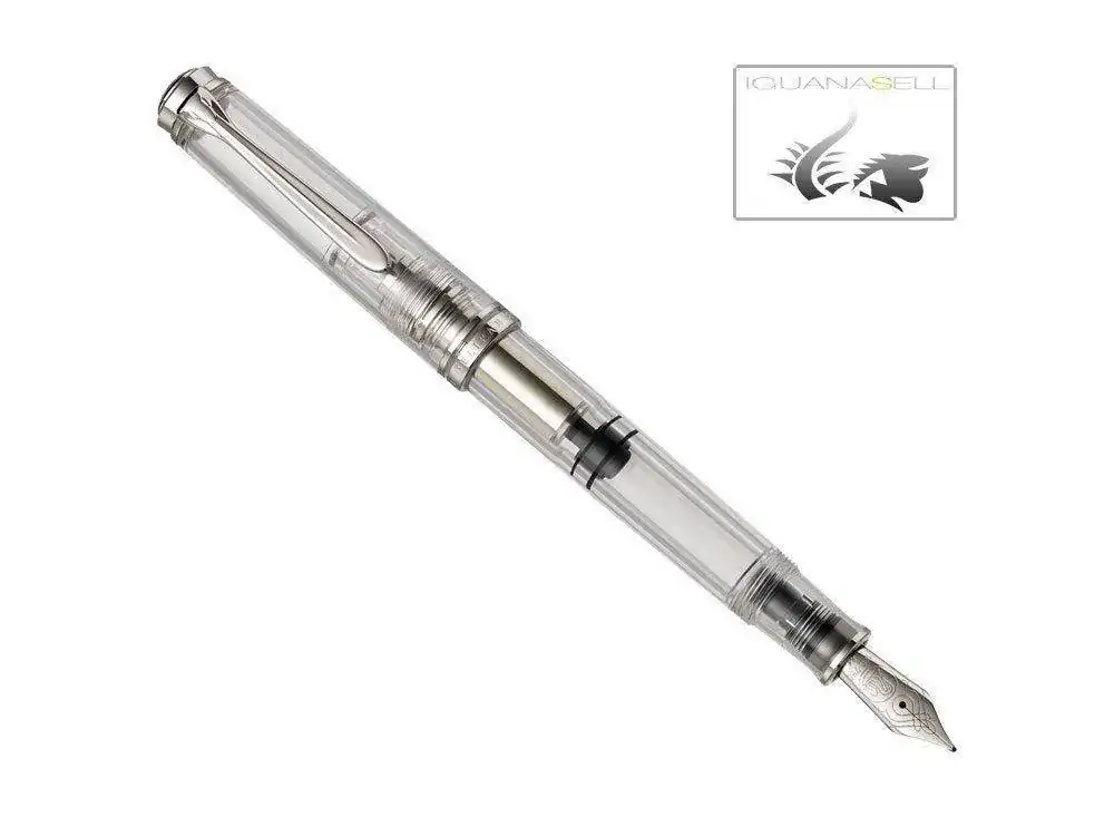trator-Fountain-Pen-Resin-Palladium-trim-957845--2.webp
