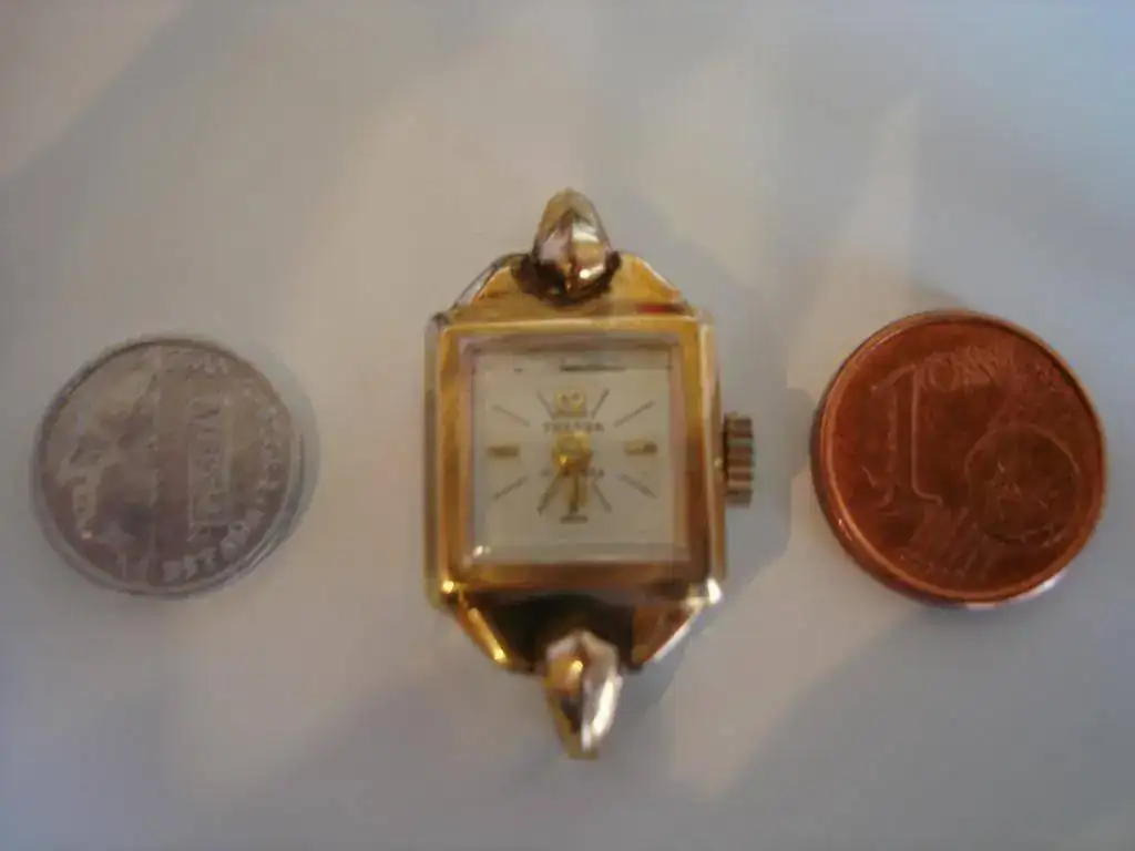 Tressa con referencia.webp