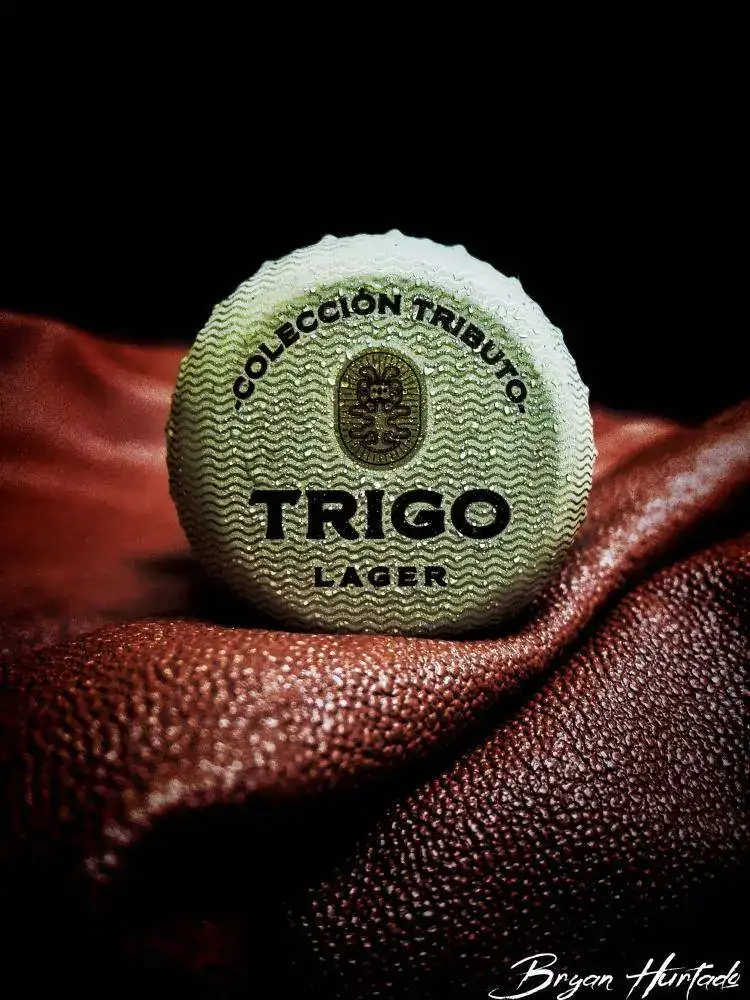 Trigo 2.webp