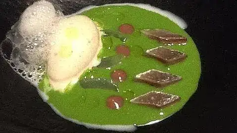 trigo-verde--478x270.webp