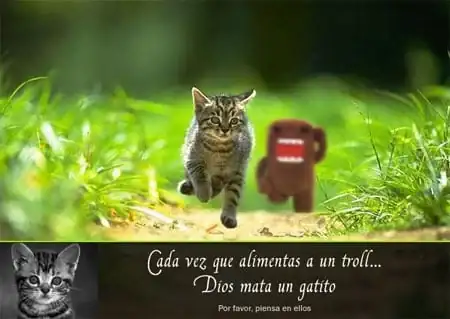 troll-gatito.webp