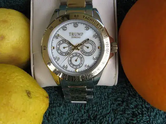 trump-watch-2-jpg.webp
