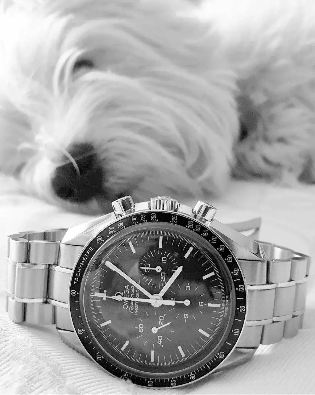 TTquattro20211101_201439.jpg