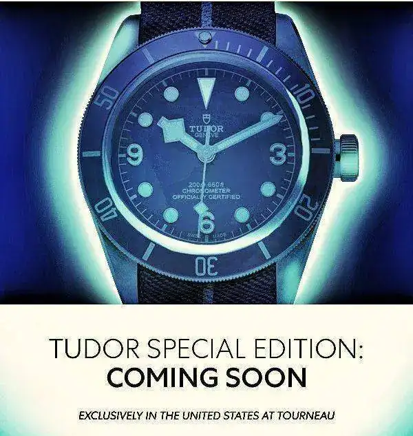 Tudor-01-01.jpeg.webp
