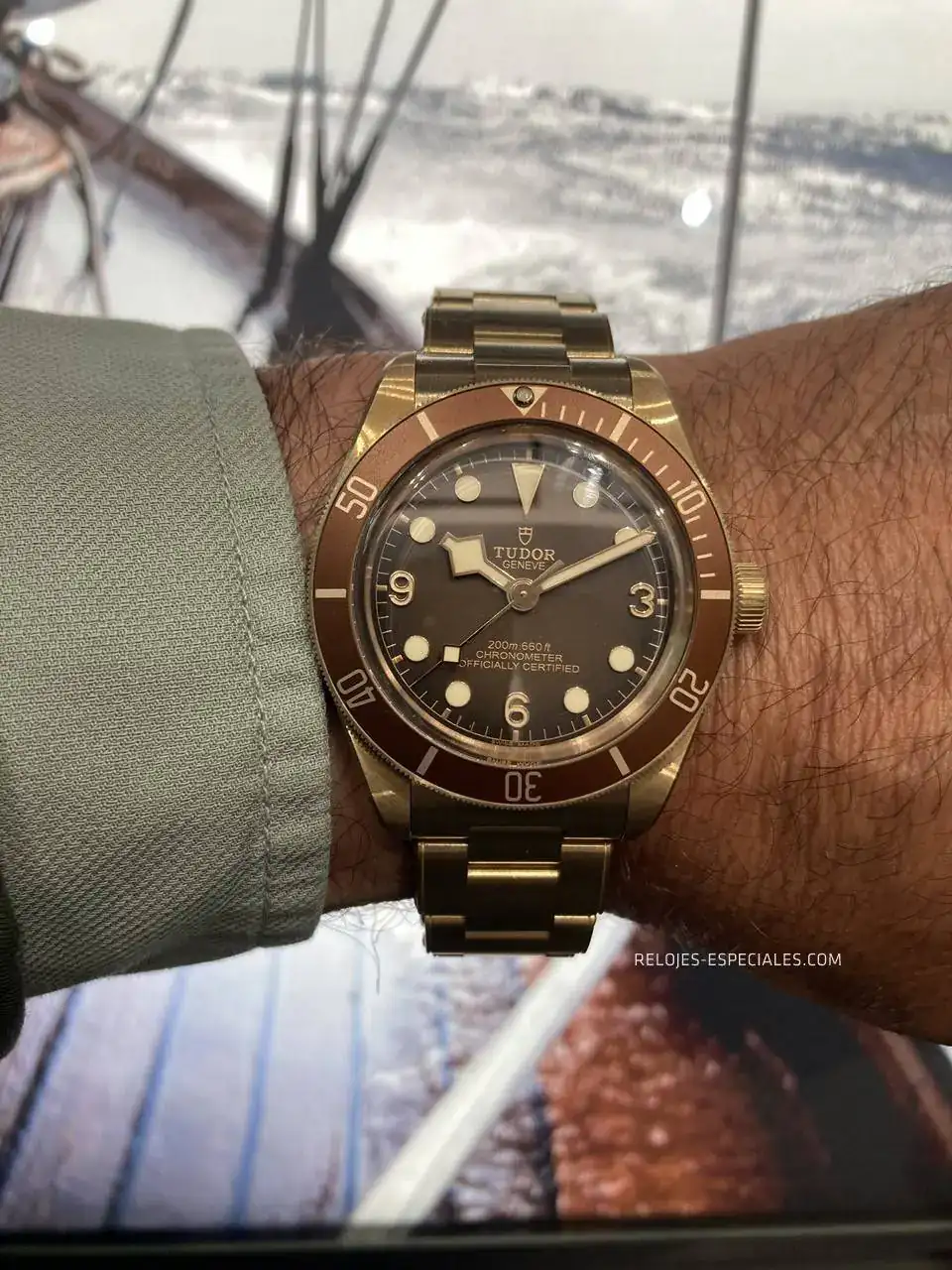 Tudor-13.JPG